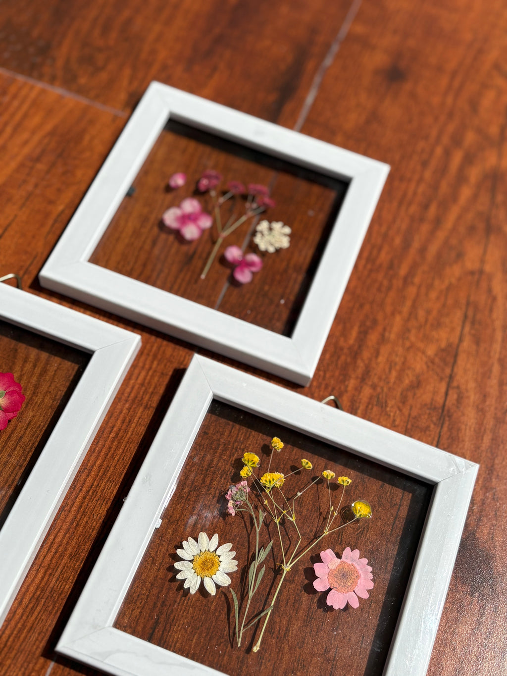 Mini Botaniq Frame set of 3