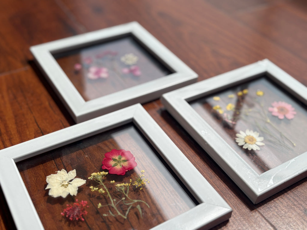 Mini Botaniq Frame set of 3