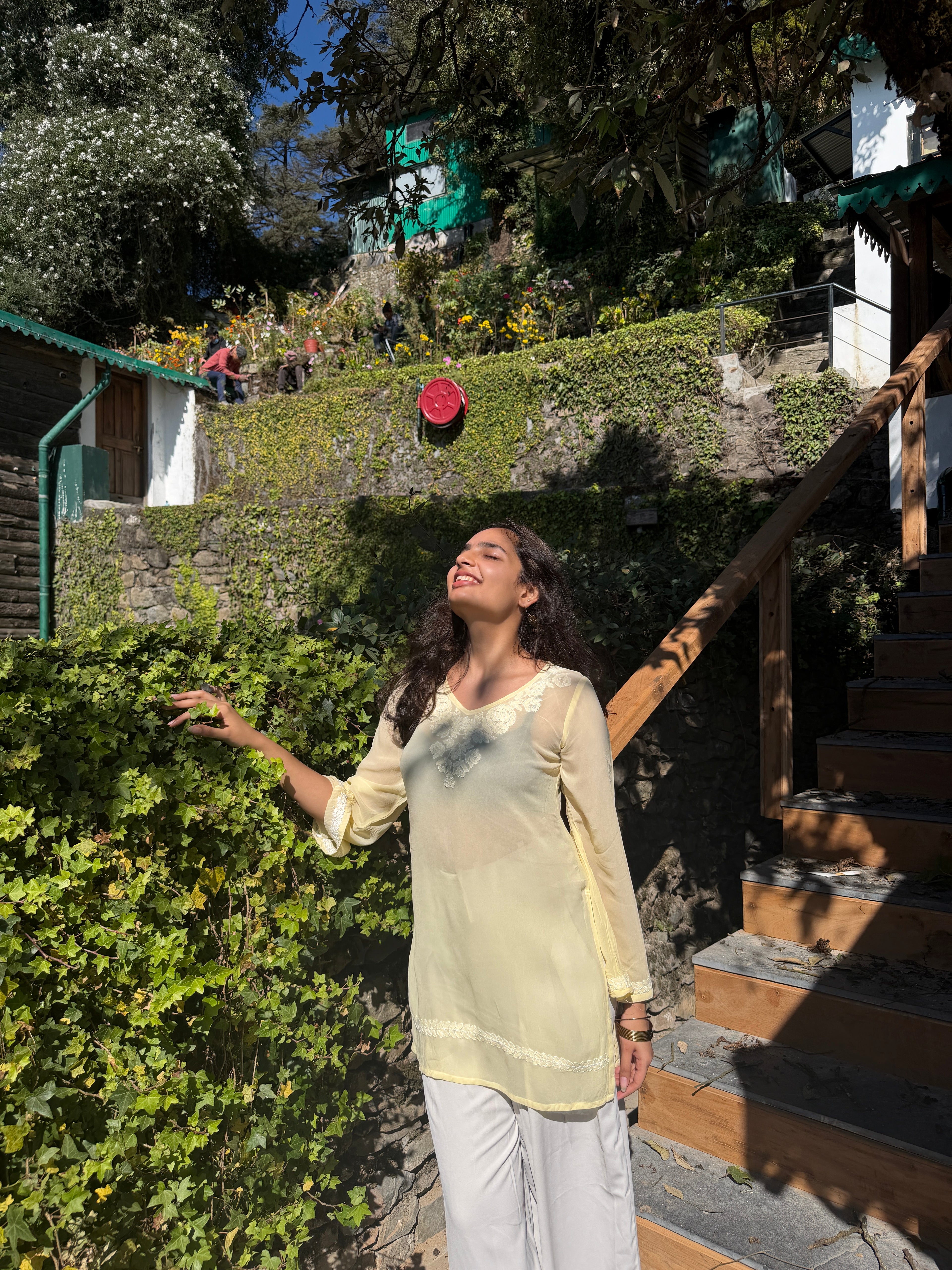 Freesia in Butteryellow