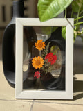 Mini Botaniq Frame set of 3