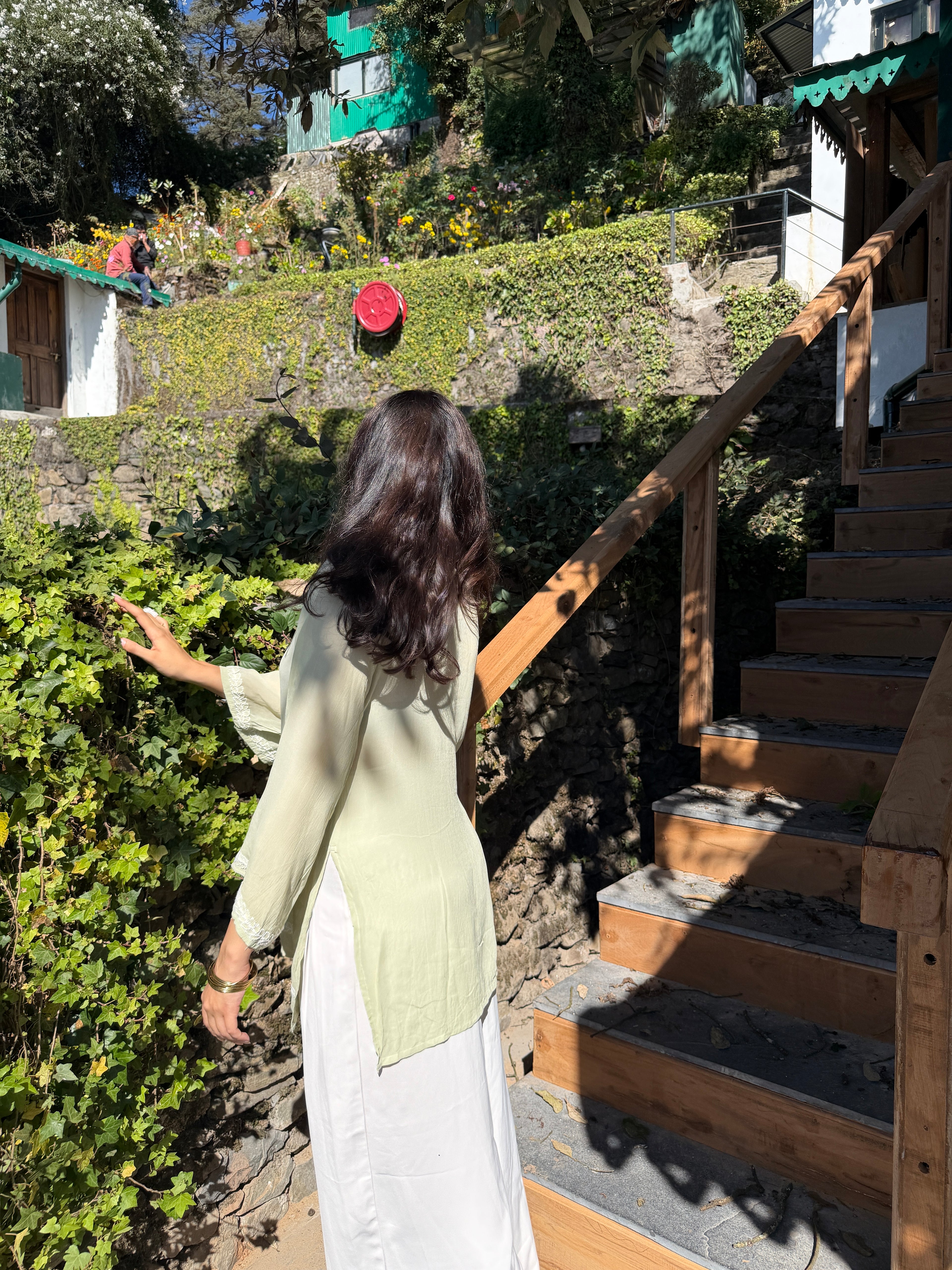 Freesia in Pastel sage green