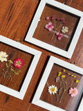 Mini Botaniq Frame set of 3