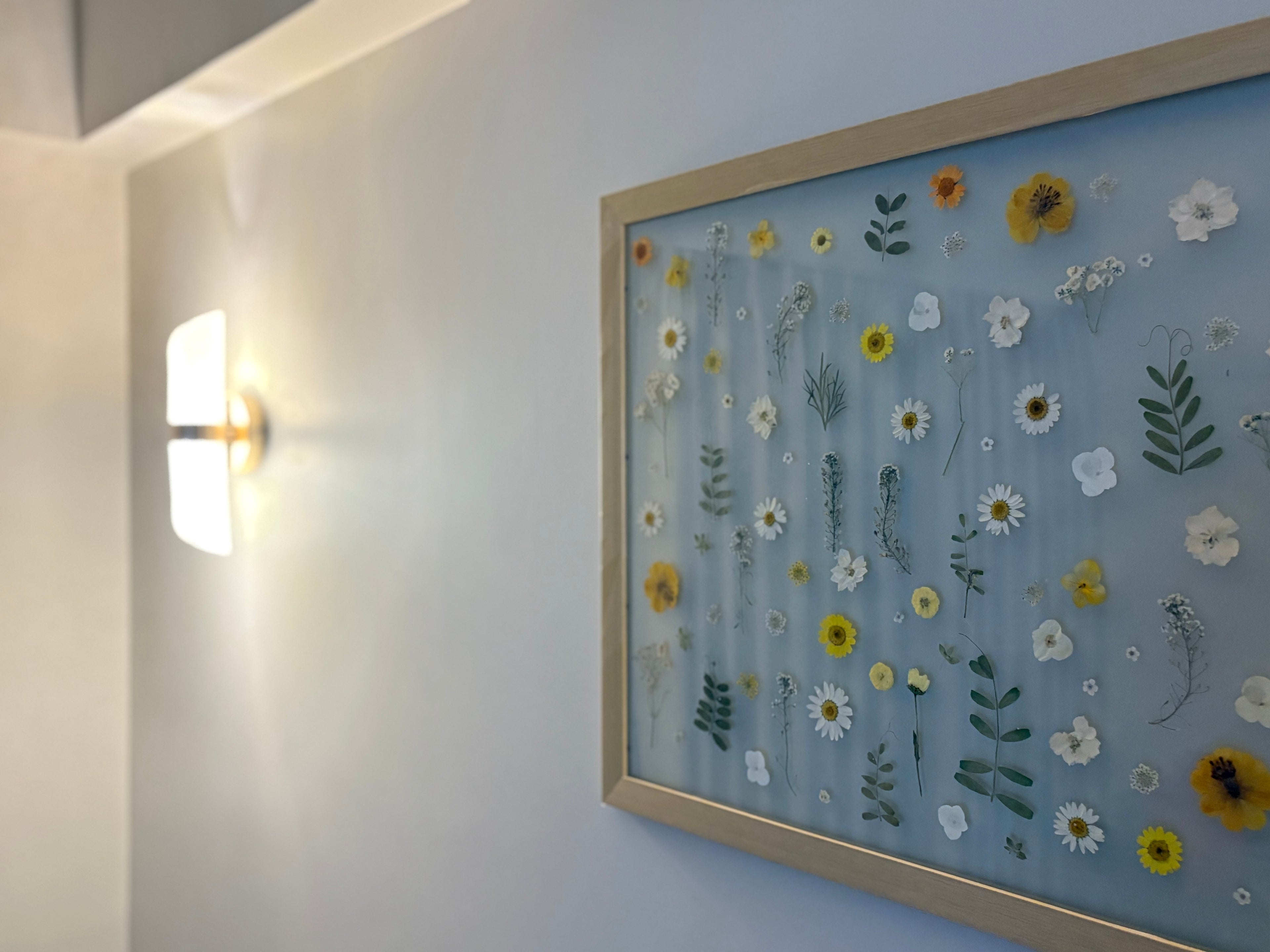 3ft by 1.5ft Botaniq Frame