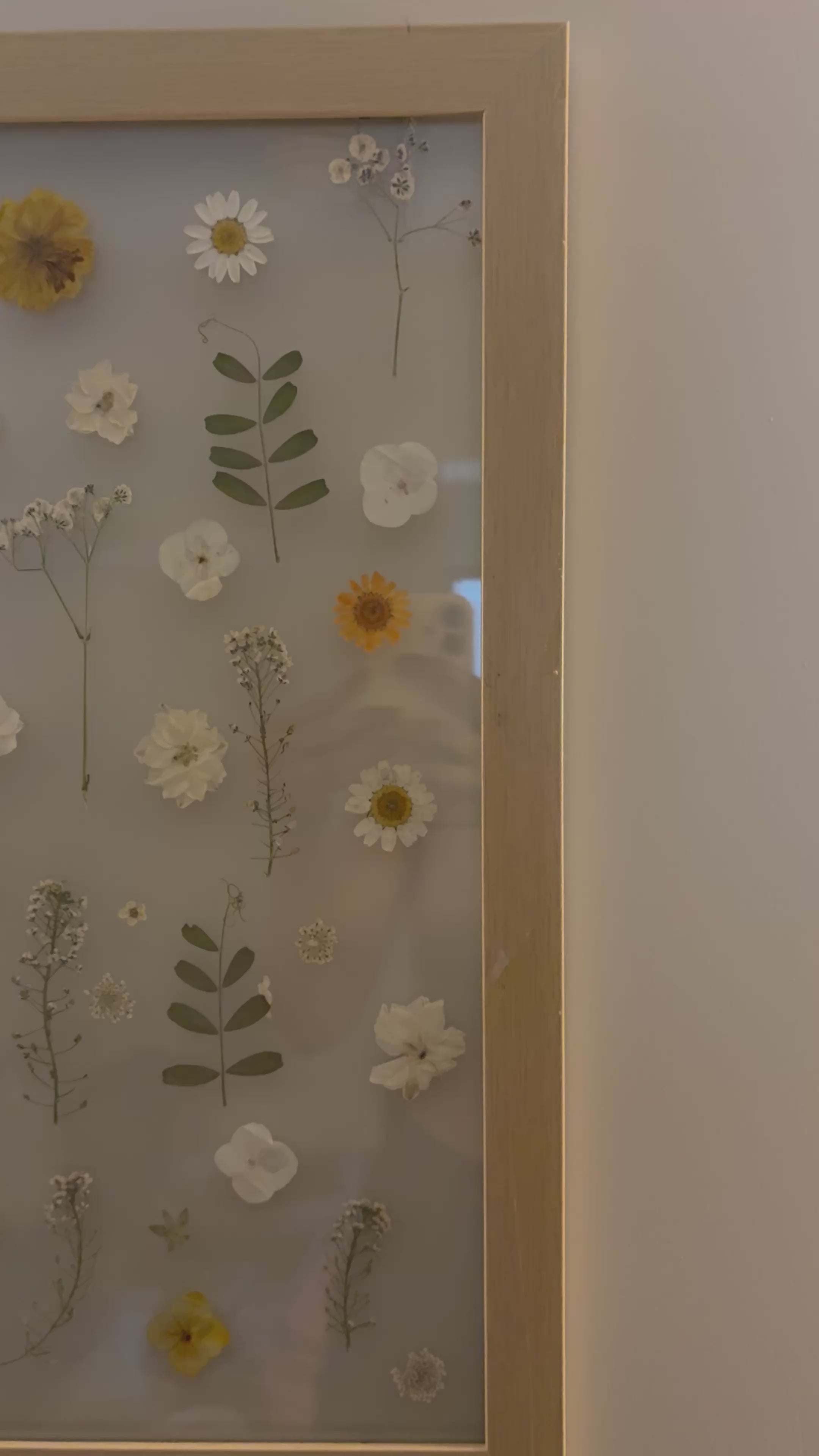 3ft by 1.5ft Botaniq Frame